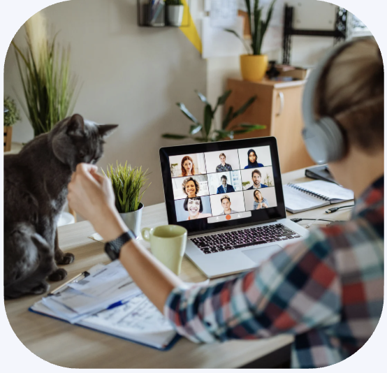 Pro User Residential